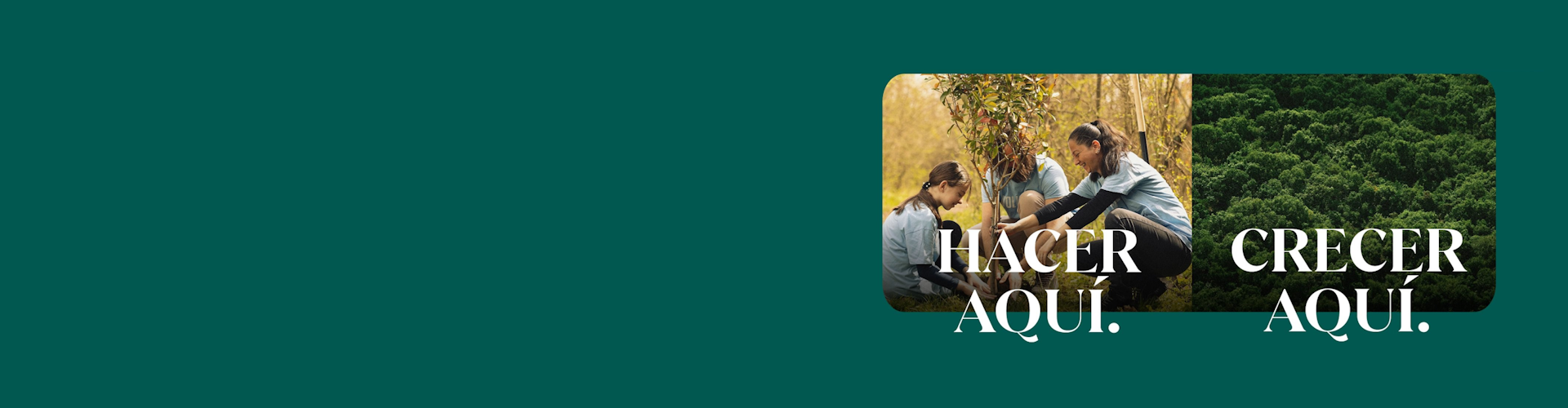 Plan de Gestión Forestal  - Acción Social Plan de Gestión Forestal  - Acción Social