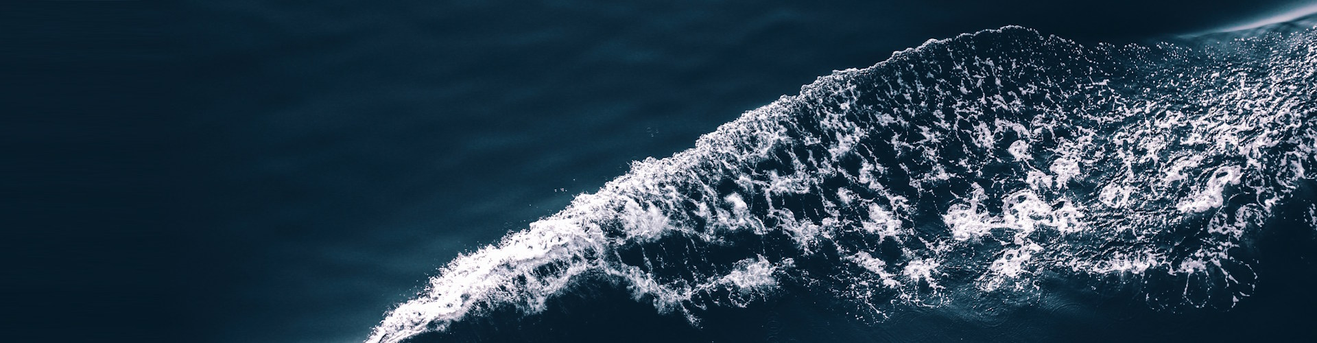 Cada viaje comienza con una ruta marcada. También tu inversión.