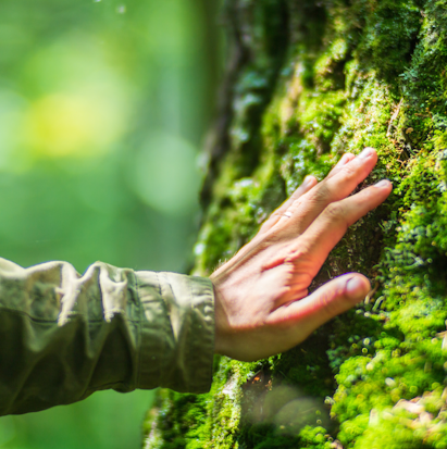 Medioambiente y desarrollo local